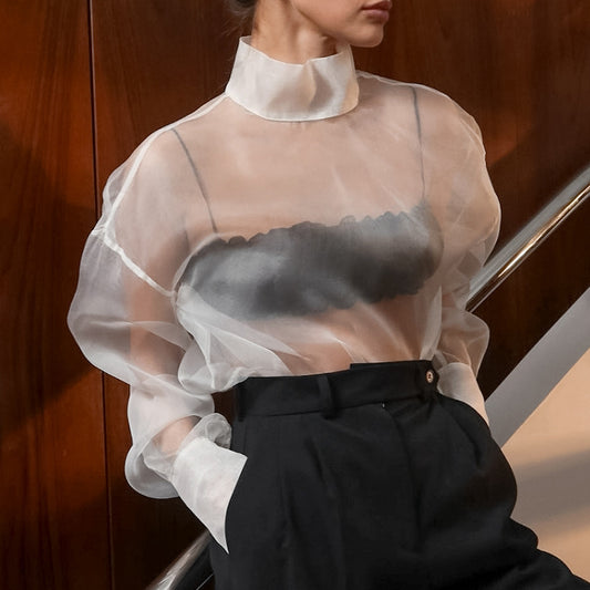 Sheer Mesh Long Sleeve Blouse
