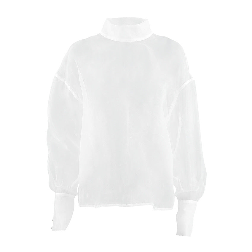 Sheer Mesh Long Sleeve Blouse